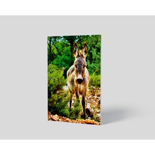 Dekorbi Blok Tablo | Donkey 48×69