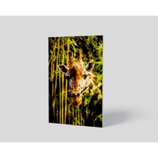 Dekorbi Blok Tablo | Giraffe 48×69
