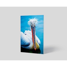 Dekorbi Blok Tablo | Swan 48×69