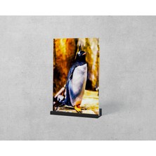Dekorbi Ayaklı Blok Tablo | Penguin 48×69