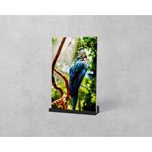 Dekorbi Ayaklı Blok Tablo | Parrot 48×69