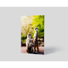 Dekorbi Blok Tablo | Meerkat's 48×69