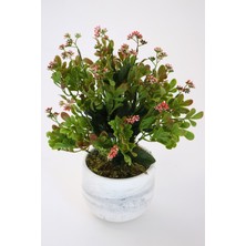 Yapay Çiçek Deposu Beton Saksıda Kalanşo Çiçeği Kalanchoe 45CM Pembe