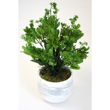 Yapay Çiçek Deposu Beton Saksıda Kalanşo Çiçeği Kalanchoe 45CM Yeşil