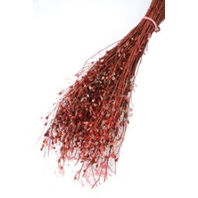 Yapay Çiçek Deposu Kuru Çiçek Tomurcuk Otu Demeti 45 cm Bordo