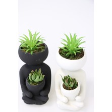 Yapay Çiçek Deposu Succulentli Buda Heykeli 2li SetYapay Bitkiler Dahil)