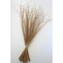 Yapay Çiçek Deposu Tropic Ting Bunch Grass 100 cm Naturel