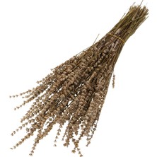 Yapay Çiçek Deposu Şoklanmış Dökülmeye Dayanıklı  Lavanta Demeti Naturel (100 Gr