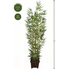 Yapay Çiçek Deposu Bambu Ağacı 6 Gövde 140 Cm(1.sınıf Yaprak 600 Yapraklı
