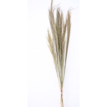 Yapay Çiçek Deposu 10LU Tropic Broom Grass 60 cm