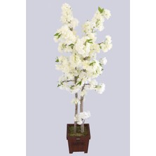 Yapay Çiçek Deposu Yapay Bahar Dalı Ağacı 2 Gövdeli Beyaz 130 cm