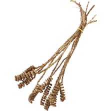 Yapay Çiçek Deposu 10LU Tropik Shany Springs 45 cm