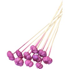 Yapay Çiçek Deposu 10LU Paras Ped Bleach On Stem 45 cm Erguvan