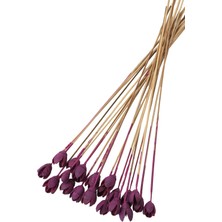 Yapay Çiçek Deposu 20LI Bakuli On Steam Retro Erguvan