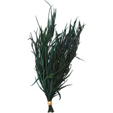 Yapay Çiçek Deposu Dekoratif Kurutulmuş Yeşil Mini Bitki 20 cm Gavellia Leaves