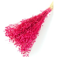 Yapay Çiçek Deposu Kuru Çiçek Luna Otu Fuşya