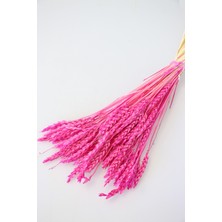 Yapay Çiçek Deposu Ithal Kuru Başak Demeti Pembe 45LI