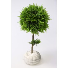 Yapay Çiçek Deposu Dekoratif Lüx Top Çam Ağacı 30X60 CmMermer Saksı