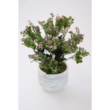 Yapay Çiçek Deposu Beton Saksıda Kalanşo Çiçeği Kalanchoe 45CM Açık Pembe
