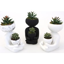 Yapay Çiçek Deposu Succulentli Buda Heykeli Trend Model 3lü Set