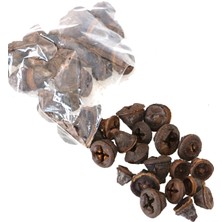 Yapay Çiçek Deposu Tropik Mini Süsleme Chiruni Pod 100GR