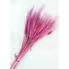 Yapay Çiçek Deposu Kuru Başak Demeti Mor