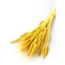 Yapay Çiçek Deposu Kuru Başak Demeti Sarı