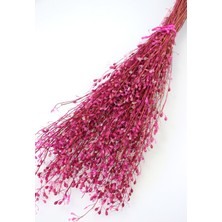 Yapay Çiçek Deposu Kuru Çiçek Tomurcuk Otu Demeti 45 cm Pembe