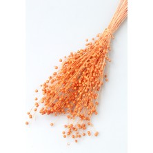 Yapay Çiçek Deposu Kuru Çiçek Luna Keten Otu 60GR Turuncu