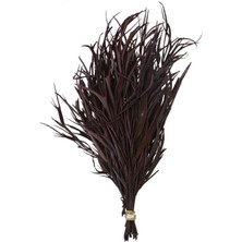 Yapay Çiçek Deposu Dekoratif Kurutulmuş Kahverengi Mini Bitki 20 cm Gavellia Leaves