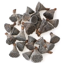 Yapay Çiçek Deposu 25LI Paket Mini Lotus Plant Lotus