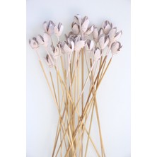 Yapay Çiçek Deposu 20LI Bakuli On Steam Retro Pudra