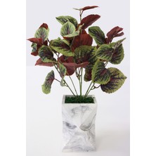 Yapay Çiçek Deposu Uzun Model Beton Saksıda Yaprağıgüzel Bitkisi