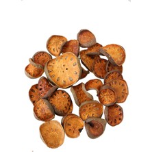 Yapay Çiçek Deposu Tropic Kuru Bell Cup Slice 28LI Paket 200GR