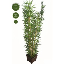 Yapay Çiçek Deposu Bambu Ağacı 6 Gövde 140 Cm1.sınıf Yaprak 750 Yapraklı Model 9
