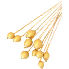 Yapay Çiçek Deposu 10LU Gauri Fruit On Steam Gold Altın Renk Gold