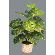 Yapay Çiçek Deposu Beton Saksıda Yapay 18 Dallı Lüx Monstera Deliciosa Maymun Maskeli Deve Tabanı