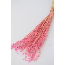 Yapay Çiçek Deposu Kuru Çiçek Yulaf Otu Demeti 50 cm Pembe