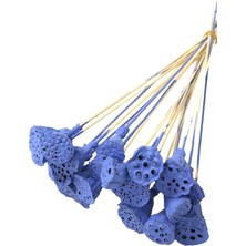 Yapay Çiçek Deposu 20 Adet Bambu Şiş Saplı Mini Lotus Çiçeği Plant Saks Mavi  Lotus