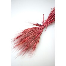 Yapay Çiçek Deposu Kuru Başak Demeti Bordo