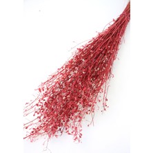 Yapay Çiçek Deposu Kuru Çiçek Tomurcuk Otu Demeti 45 cm Kırmızı
