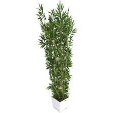 Yapay Çiçek Deposu Yapay Bambu Ağacı 6 Gövde 180 cm Beyaz Ahşap Saksıda MODEL16