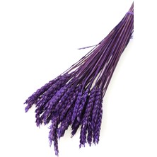 Yapay Çiçek Deposu Ithal Kuru Başak Demeti Mor 45LI