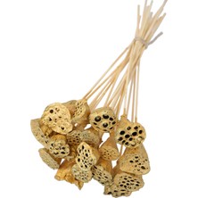 Yapay Çiçek Deposu 20 Adet Bambu Şiş Saplı Mini Lotus Plant Gold  Lotus