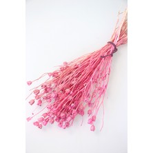 Yapay Çiçek Deposu Kuru Çiçek Nigella Bitkisi Demeti Açık Pembe