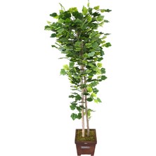 Yapay Çiçek Deposu Yapay Ağaç Yeşil Yapraklı Çınar Ağacı 190 cm
