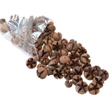 Yapay Çiçek Deposu Tropik Mini Süsleme Eucalyptus Pod 100GR