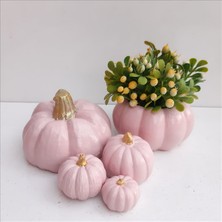 Bulut Bal Kabağı Saksı Seti