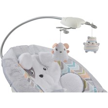 Fisher-Price Sweet Snugapuppy Delüks Ana Kucağı GWD50