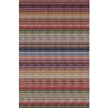 STY Home Renbow Kaymaz Tabanlı Yıkanabilir Halı Kilim Yolluk Renkli